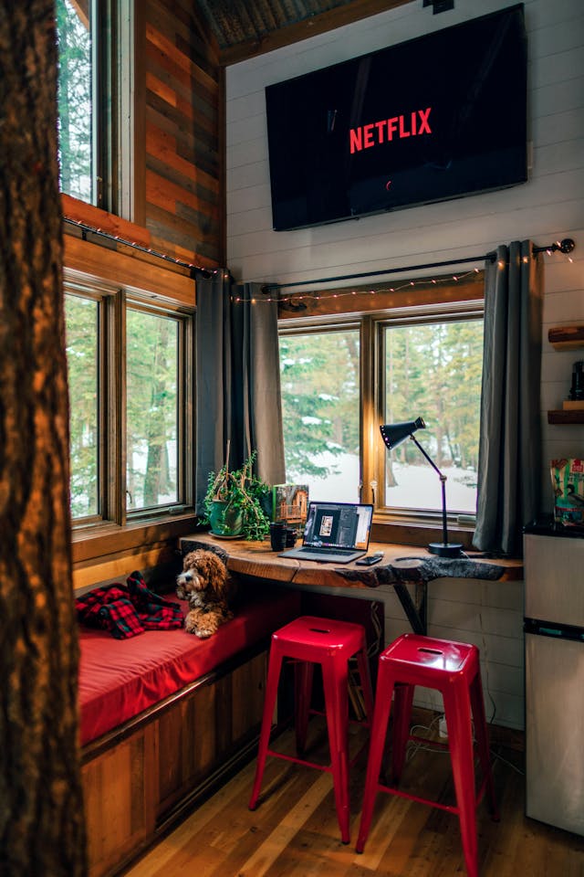 Hygge-Danish-Coziness-Guide-dog-netflix