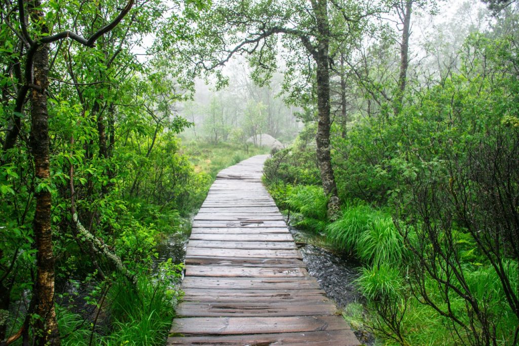 Bergen-trails-bridge