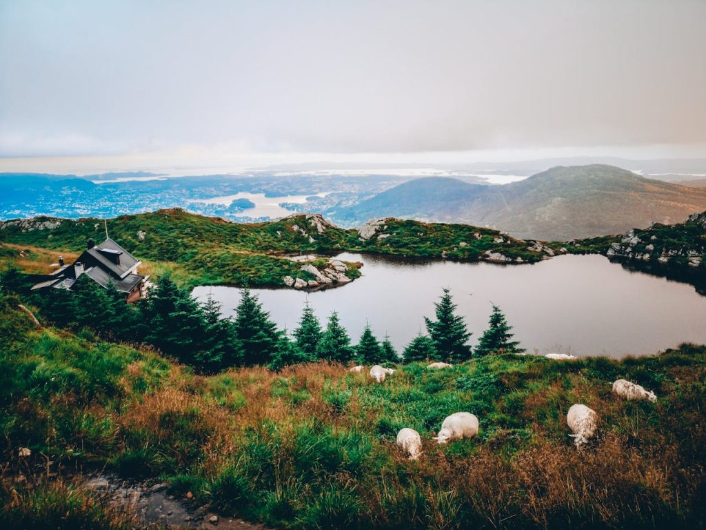 Best-Hiking-Trails-in-Bergen-Norway-view