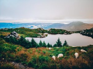 Best-Hiking-Trails-in-Bergen-Norway-view