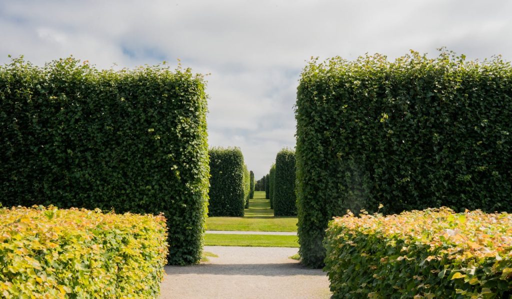 Drottningholm-palace-Stockholm-bushes