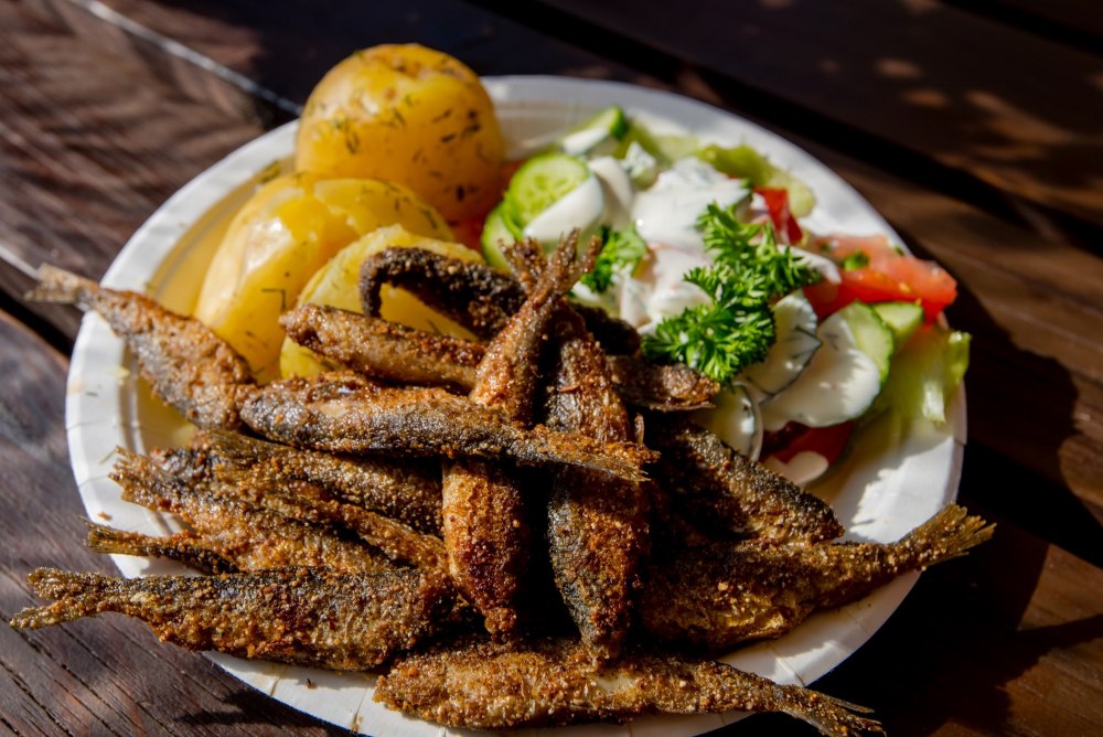 Finland-vendace-white-fish-savonlinna-mikkeli-saimaa