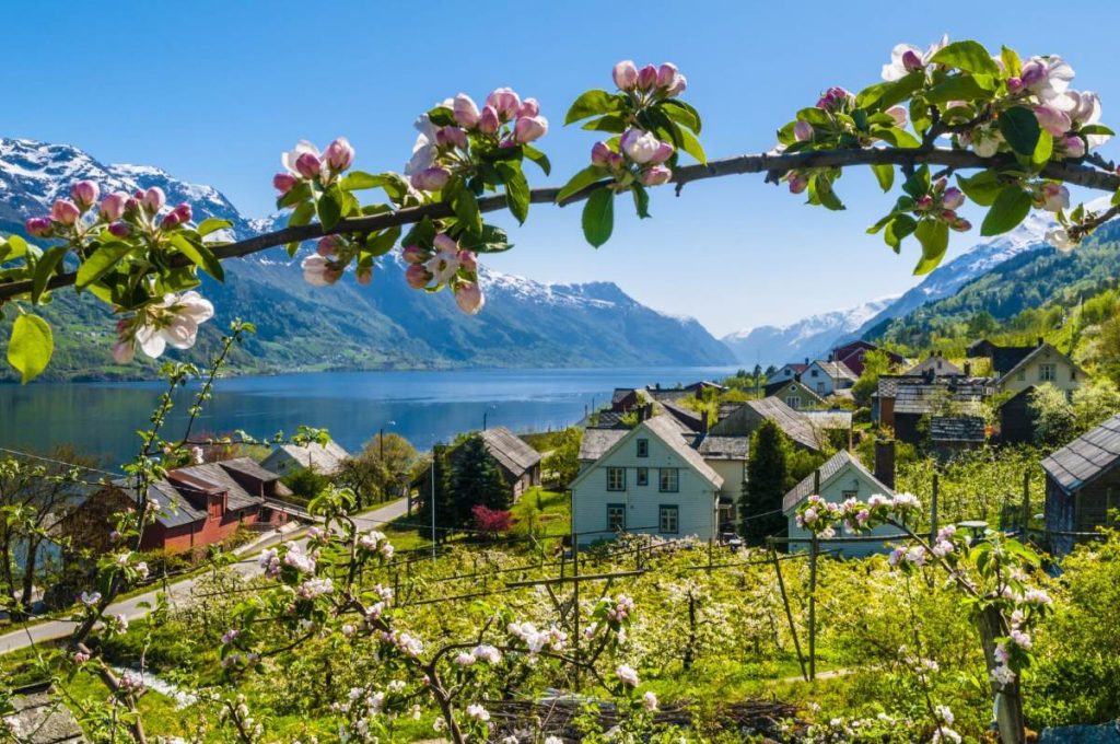 Hardangerfjord -gardens-trail