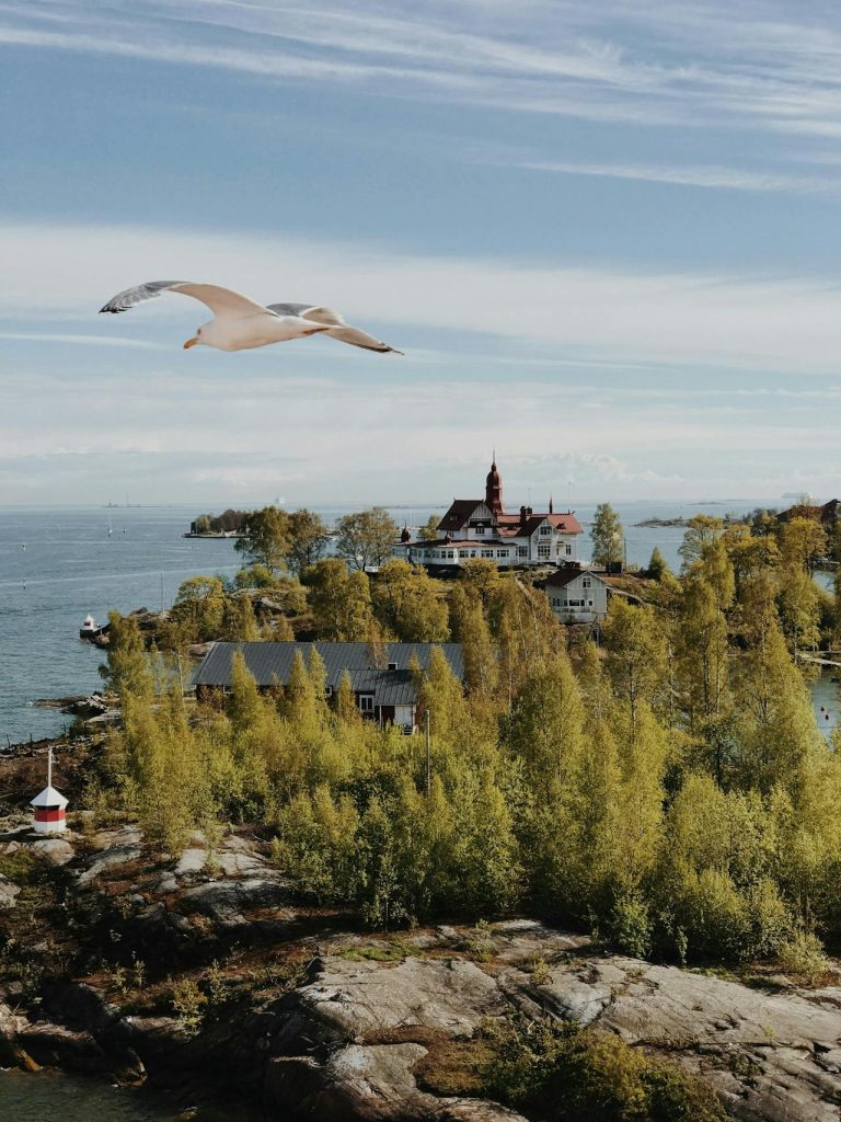 Stockholm Archipelago-island-bird