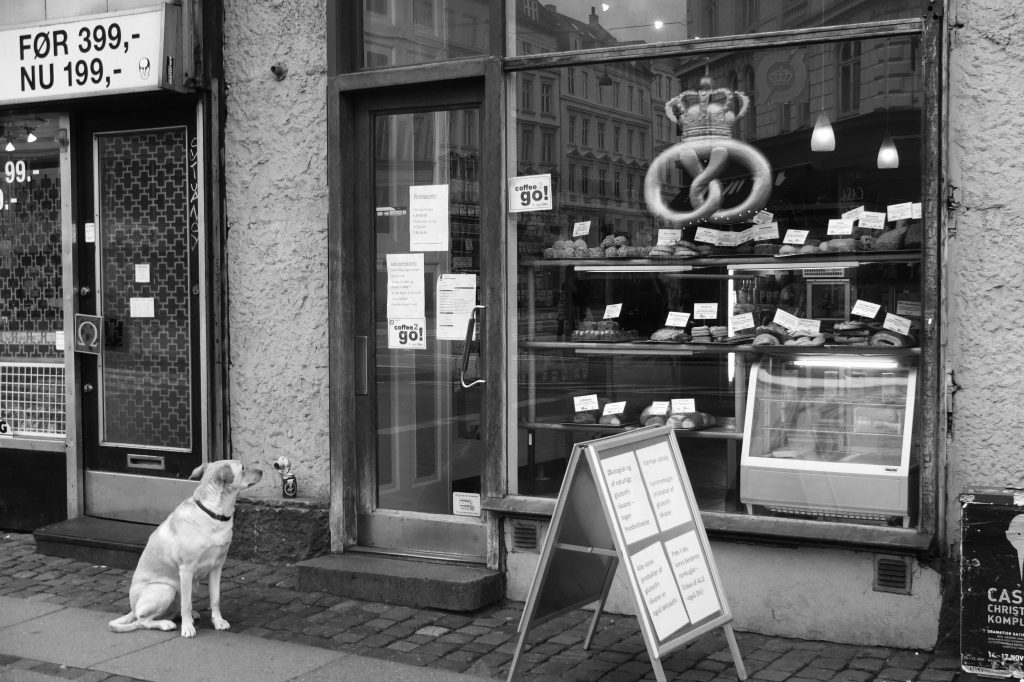 dog-bakery-danish-street-Danish-Pastries-in-Copenhagen