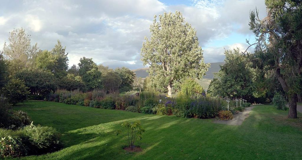 Akureyri-Iceland-Botanical-Garden-Lystigarðurinn